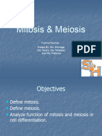 Mitosis and Meiosis PP T