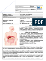 Guia de Aprendizaje Anatofisiologia Sistema Digestivo Cie Diurno Grupo B y C