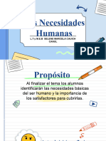 Tema 1 - Necesidades Humanas.