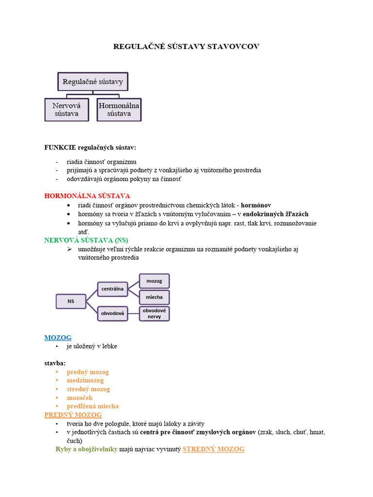 regula-n-s-stavy-stavovcov-pdf