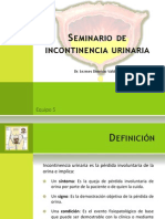 Seminario Incontinencia Urinaria