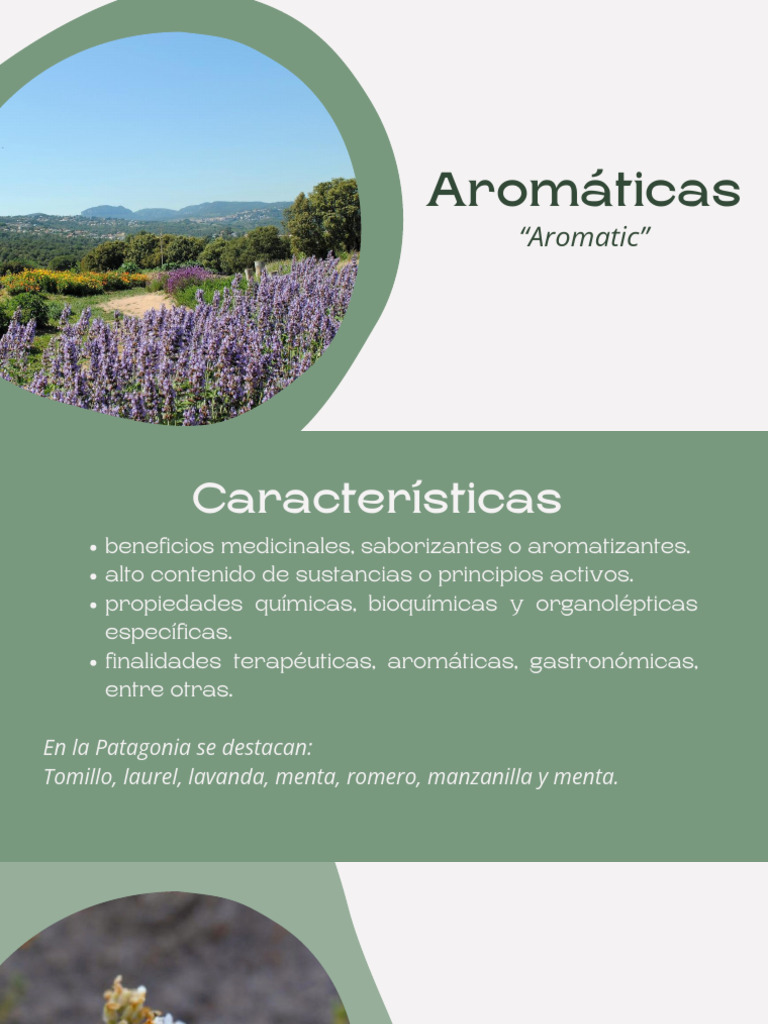 TPI - Aromáticas, PDF, Vitamina