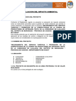 Ficha de Evaluacion Ambiental Llallahui 0607