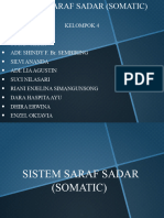 SISTEM SARAF SADAR (SOMATIC) Kelompok 4