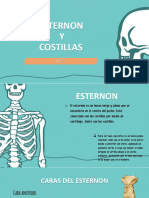 PRESENTACION ANATOMIA