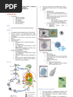 Download Parasitology-Lec 10 Entamoeba by api-3743217 SN6767269 doc pdf