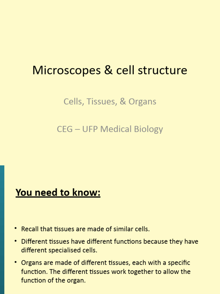 Cell, Tissues, Organs, System PDF
