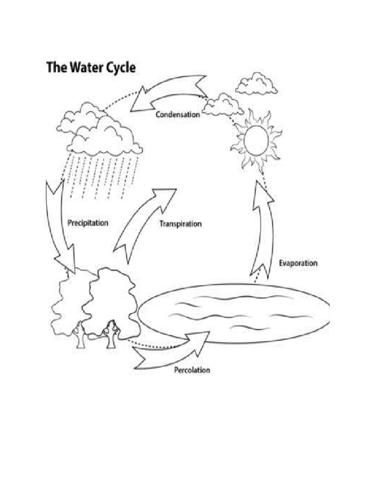Water Cycle | PDF