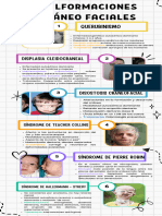 Infografía Malformaciones Cráneofaciales