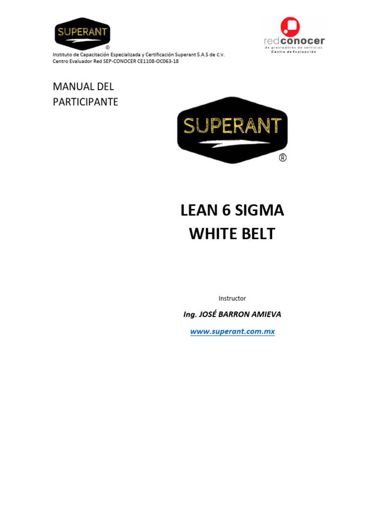 Manual Del Participante LEAN 6 SIGMA White Belt | PDF
