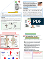 Semana 29-Explica - Ficha Informativa - Nos Cuidamos Del Dengue