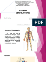 Diapositiva Sistema Circulatorio