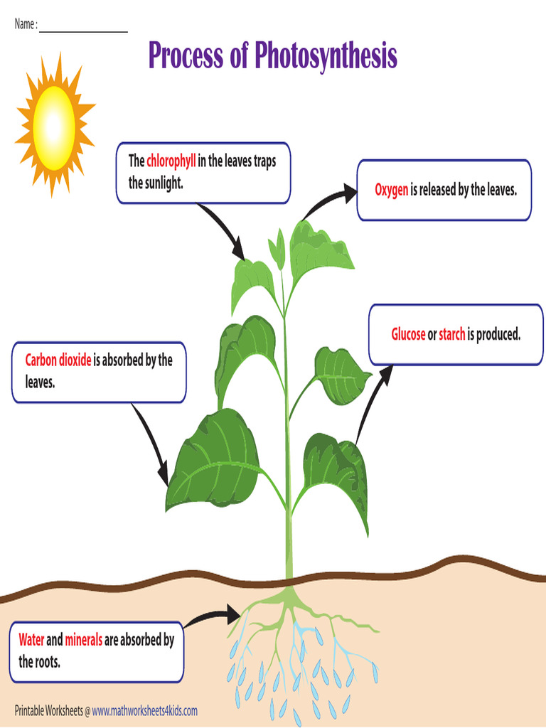Process Description Chart | PDF