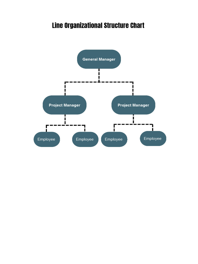 Organizational Structure | PDF | Chief Executive Officer | Sales