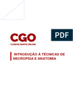 Introdução Necropisia