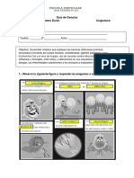 Guia de Ciencias