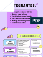 ACTIVIDADES EN EPIDEMIOLOGIA Niveles