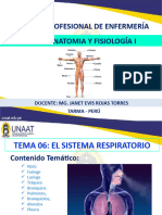 Clase 6 Anatomía y Fisiología L