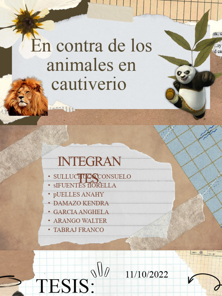 2 Mallas Protectoras Con Cremallera Para Tomates Y Cultivos | 140x46x46 Cm | Barrera Contra Pájaros, Conejos Y Ciervos