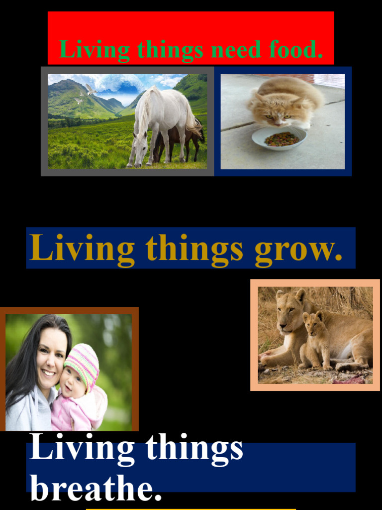 Living Things Need Food | PDF