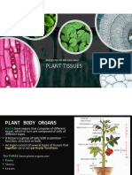 Plant Tissues Organs-1