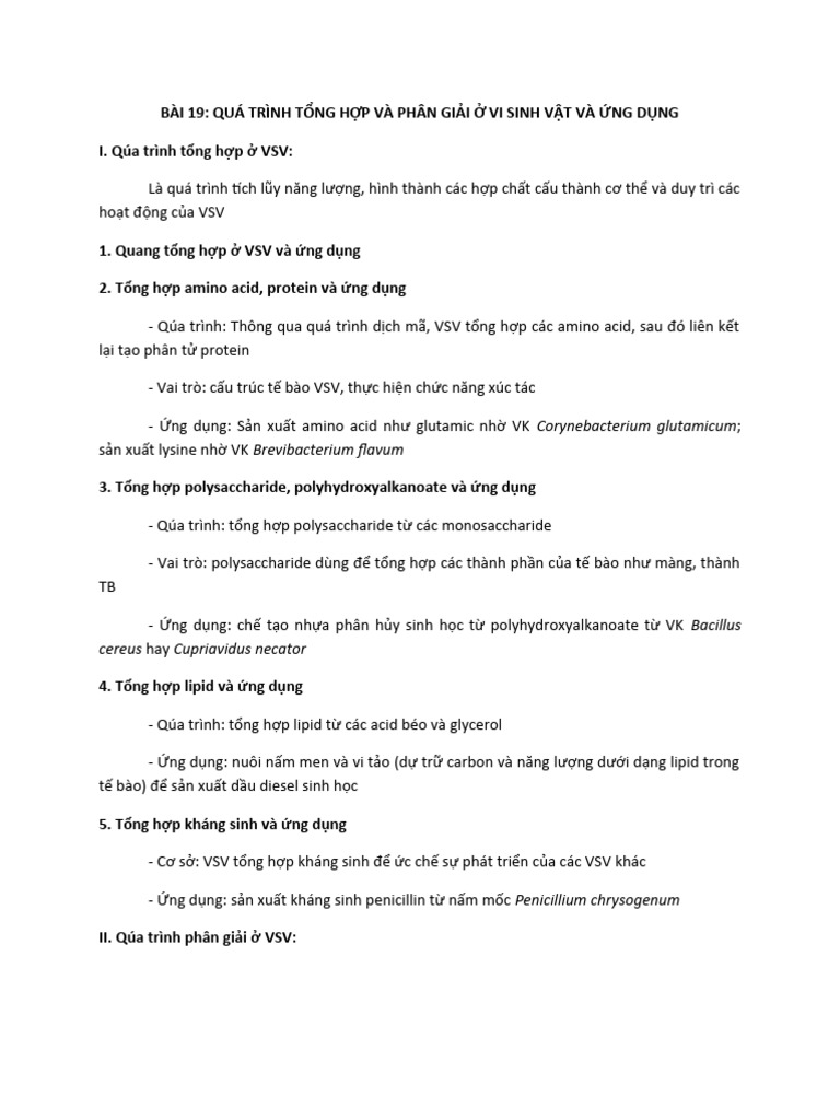 B i 19 va 20 pdf