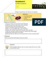 Seed Germination Science Experiment Colorful Lined Illustrated Worksheet (21 × 33.5 CM)