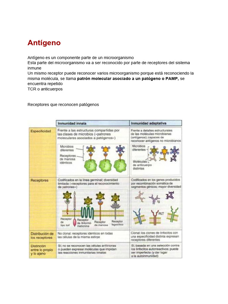 Antígenos e Inmunógenos en Inmunidad | PDF | Antígeno | Célula T