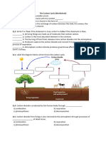 Worksheet The Carbon Cycle