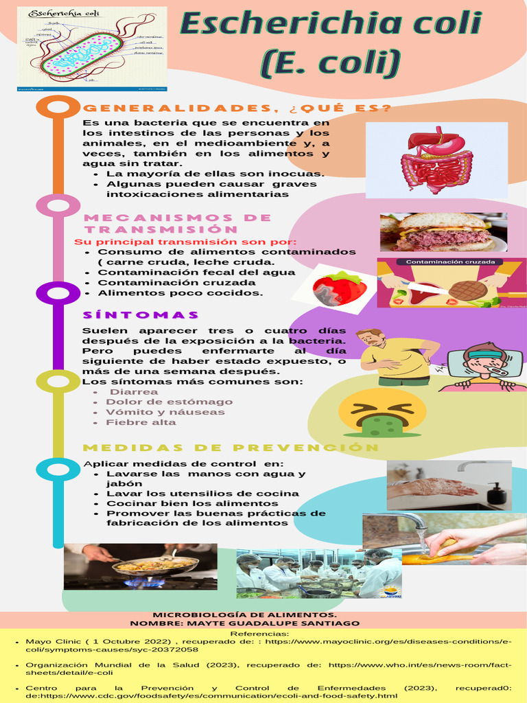 Prevención y síntomas de E. coli | PDF | Tecnología