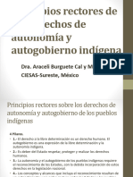 Resumen Autonomia y Gobierno Indigena ABurguete 2