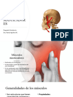 Músculos Masticadores - 3 Clase