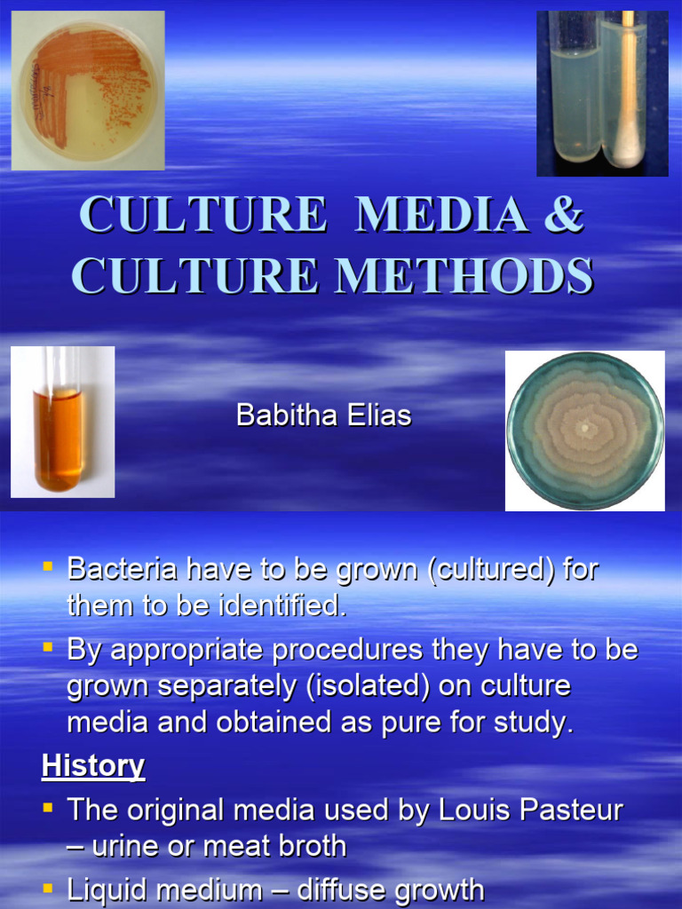 Culture Media PDF