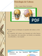 6.osteología de Cabeza