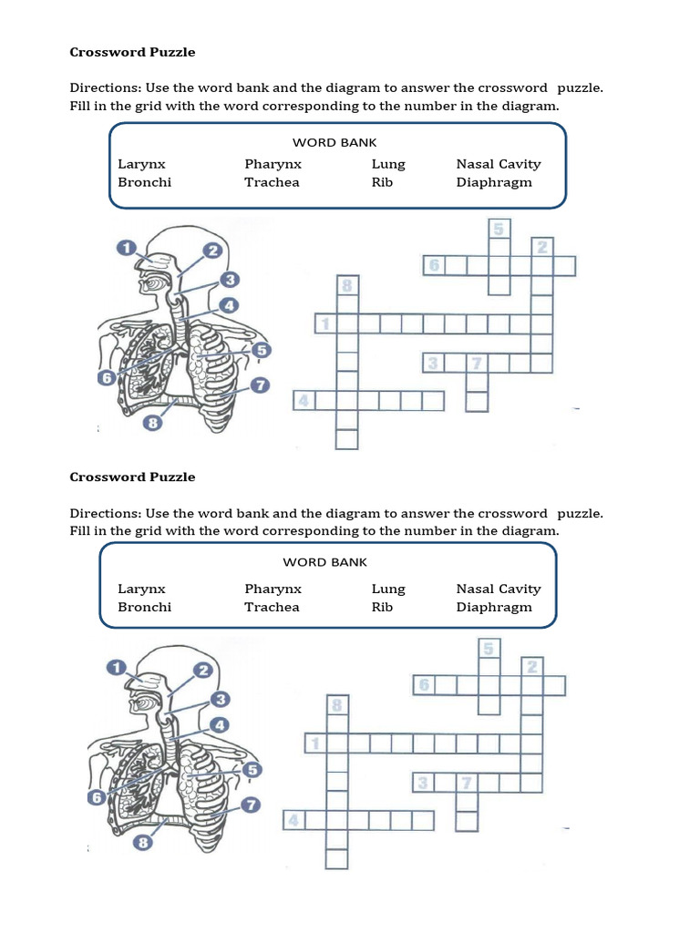 Crossword Puzzle | PDF