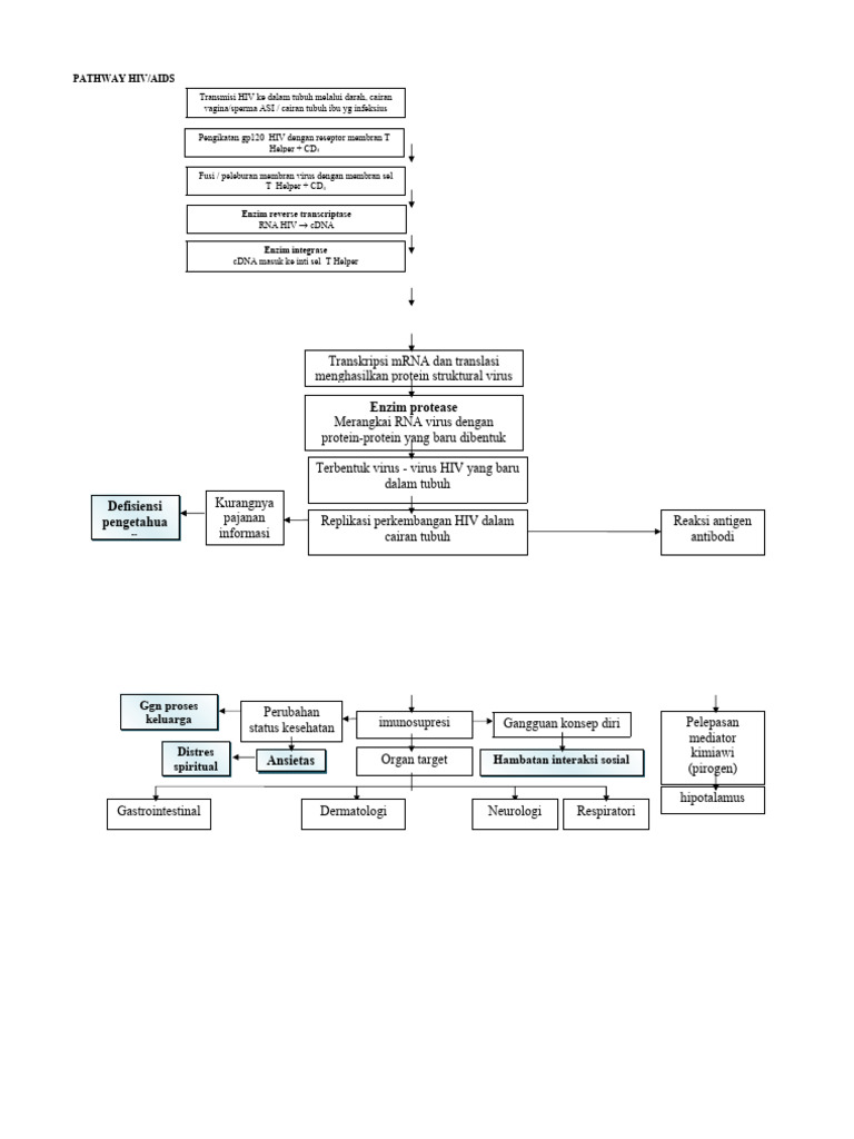 Pathway Hiv Aids | PDF
