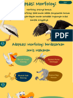 Materi IPA Kelas 6 Adaptasi Hewan