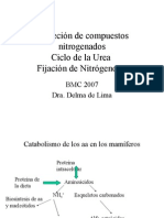 BMC-Ciclo Del Nitrógeno y Ciclo de La Urea