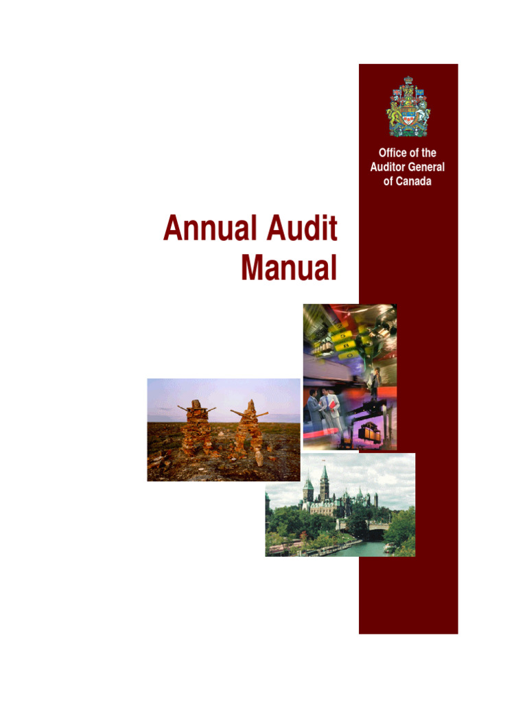 Annual Audit Manual PDF