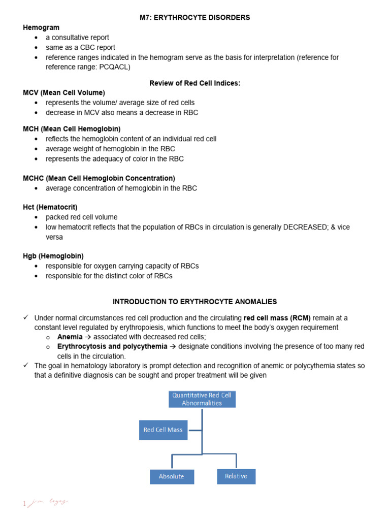 ANEMIA Updated | PDF