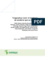 Ospina Alvarado Hollensteinetal Tungurahuaterritoriosenderosbifurcan