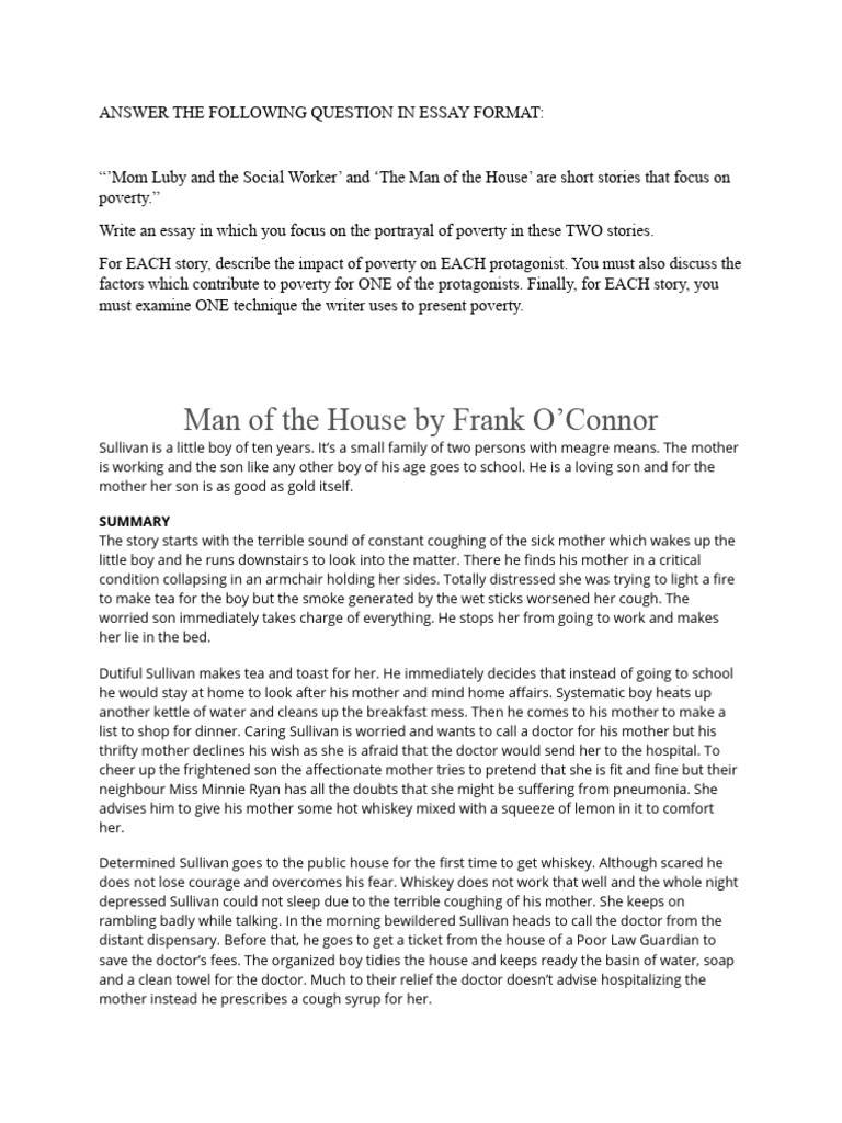 Man of The House by Frank Oconnor PDF