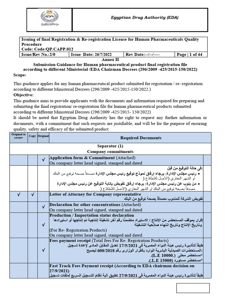 GUIDANCE ON SUBMISSION PROCESS AND FORMAT REQUIREMENTS visual data 6