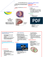 Tugas Leaflet Polihidramnion BU RISNA