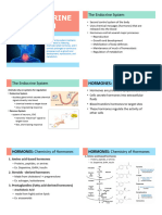 Endocrine System