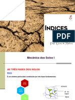 Aula 5. Indices Fisicos