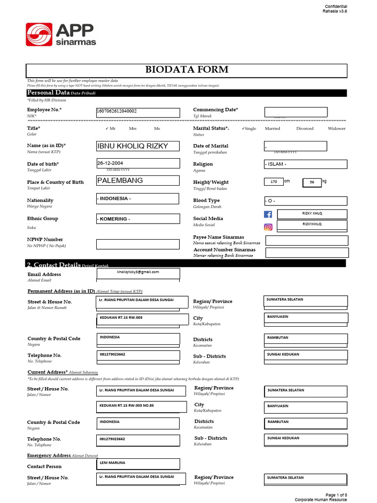 Biodata form pdf app v3 6 pdf