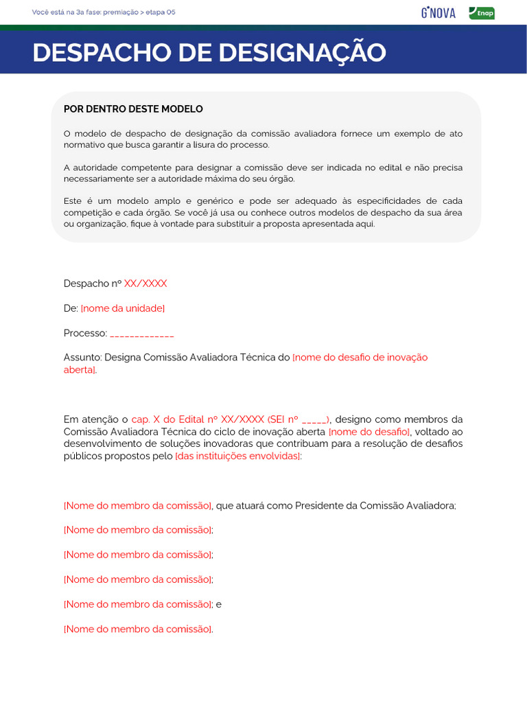 Modelo de Despacho de Designação | PDF | Tecnologia e Engenharia