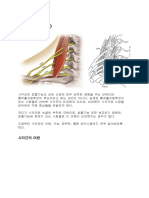 해부학 길라잡이 사각근편