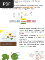 Labeling Leaf Parts and Photosynthesis | PDF | Leaf | Plants